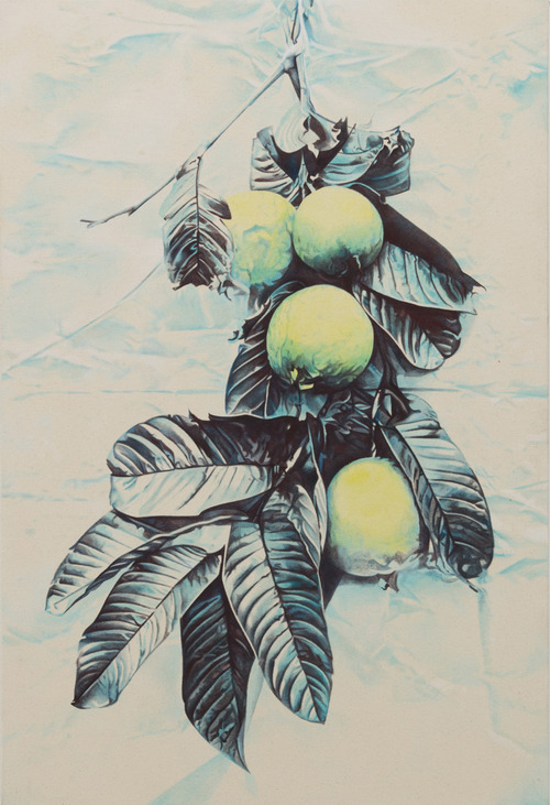 mann lemon guava 2018 bm 18.003crop.jpg